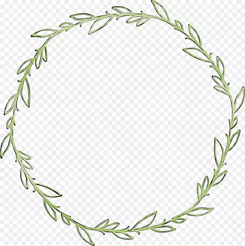 ������ֲ�ﾥ��Ҷ����ֲ��-������