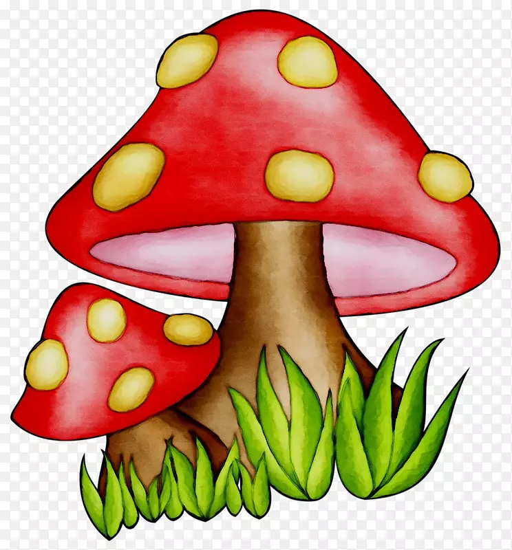 �������߲�ˮ��-������