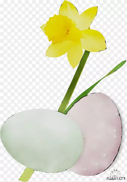 ����ֲ�ﾥֲ��-������