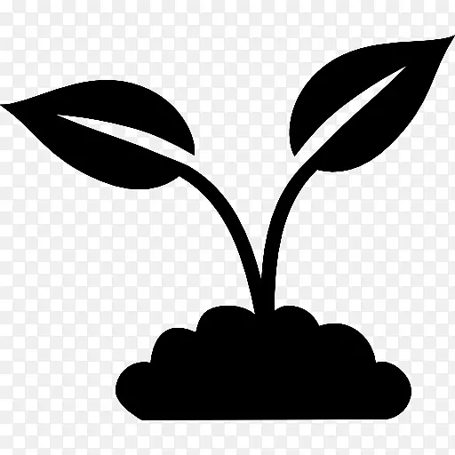 ��������ɫ��Ӱֲ�ﾥ����ֲ��-������