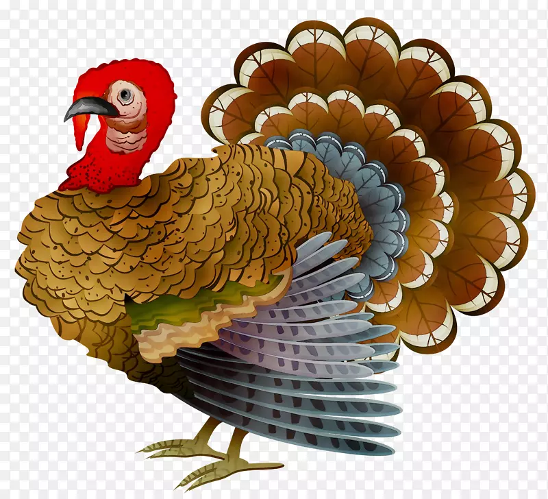 �����廭��๼���ʳ����ë-������