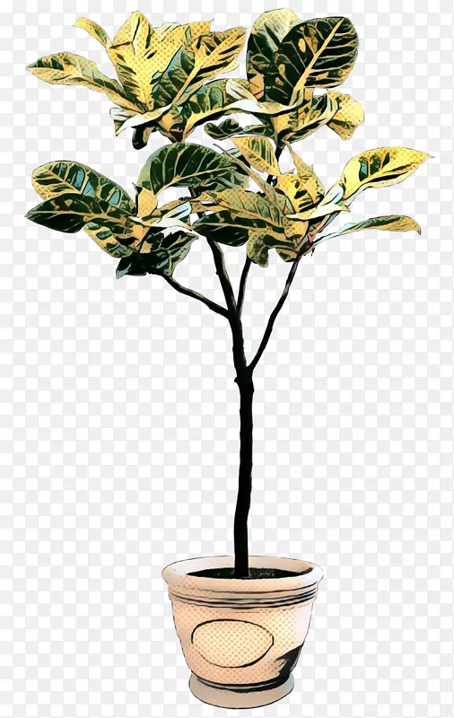 ���裬����ֲ�����ֲ��޻���-һ��-������