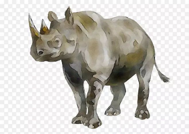 Ϭţ����½�ض���-������