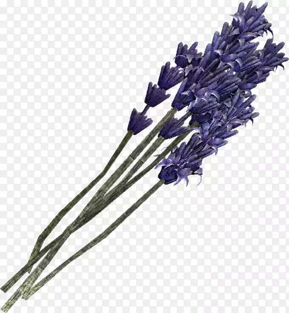 Ӣ��޹�²���������ͼ��-޹�²�-������