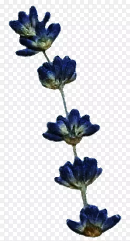 ����ɫ޹�²�������޹�²�-������