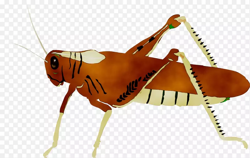 pngͼƬ���������ȳ�ͼ��-������