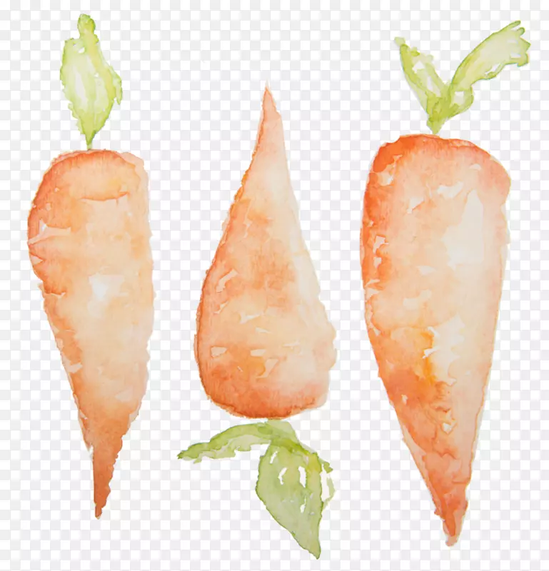 ���������ܲ�ˮ�ʻ�pngͼƬͼƬ���ܲ�-������