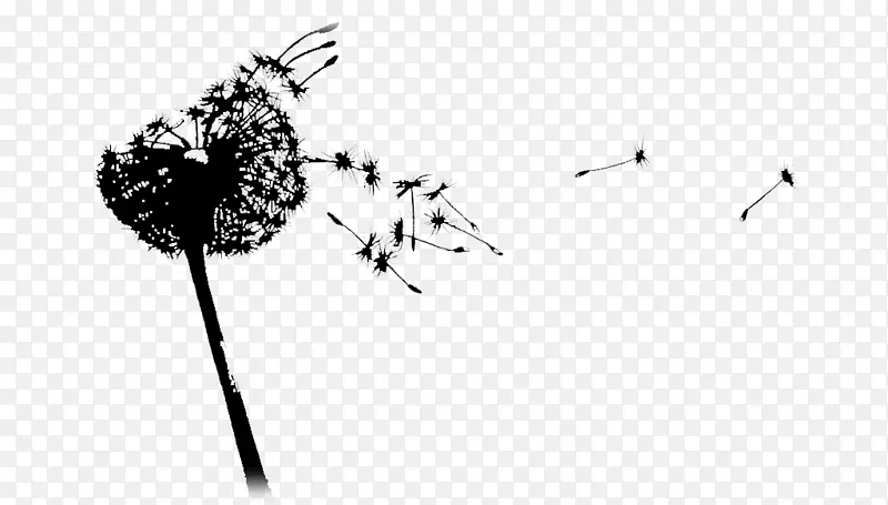 ֲ�ﾥ�����ֽ����ֲ������-������