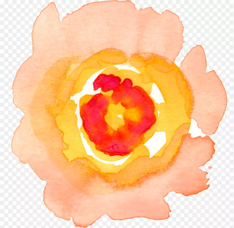 ˮ�ʻ���ˮ�ʻ�������ˮ�ʻ�õ��-������