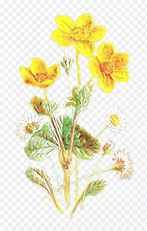 �л�ֲ�ﾥ�ݱ�ֲ�￪��ֲ��-������