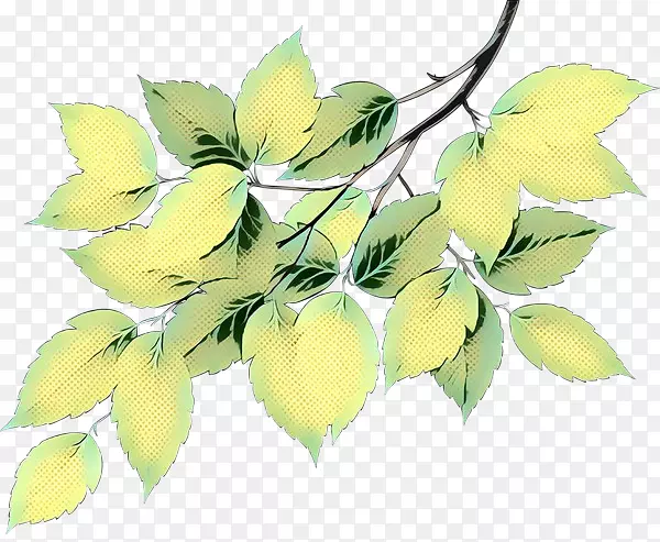 ֲ�ﾥҶ����ֲ���ֲ֦��-������