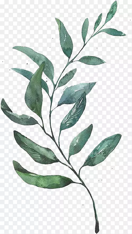 ˮ�ʻ���ͼˮ�ʻ�-������