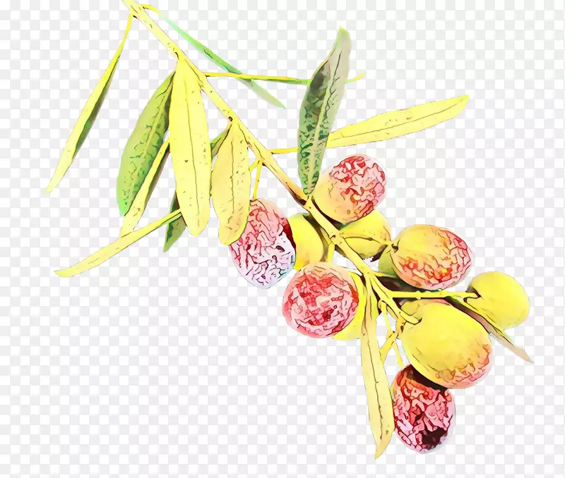 ������ƣ��л�������ֲ�ˮ��-������