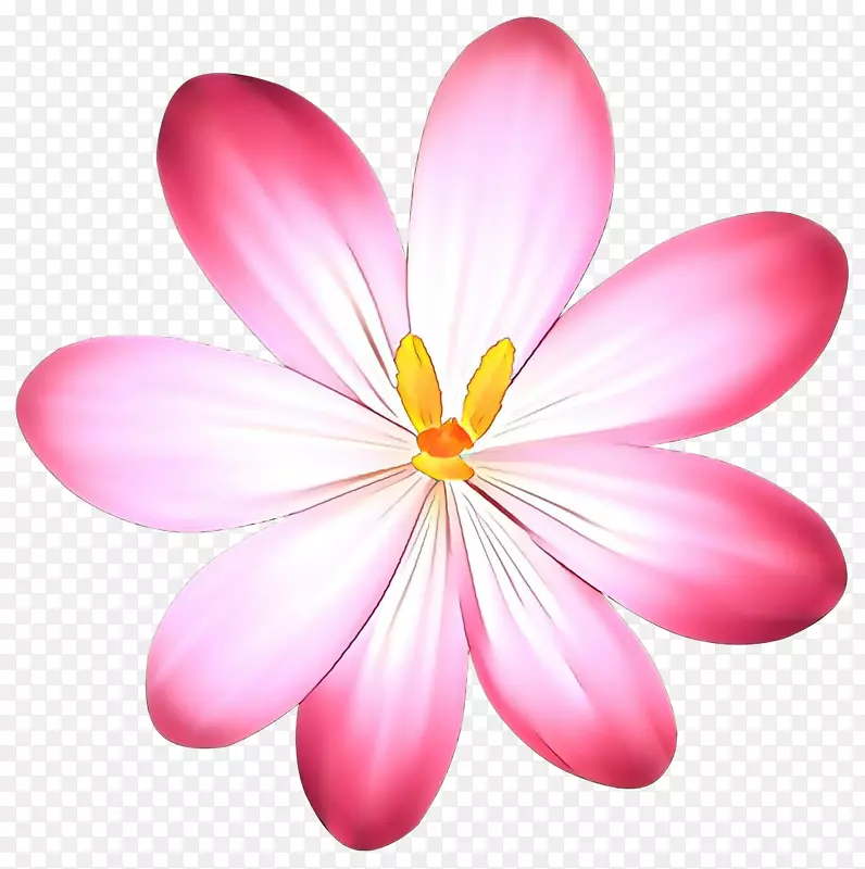 ����ǽֽ�ۺ�m����-������