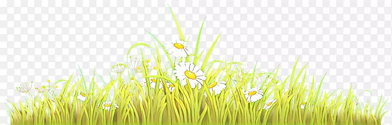 ��������ֽ��Ʒ�������-������