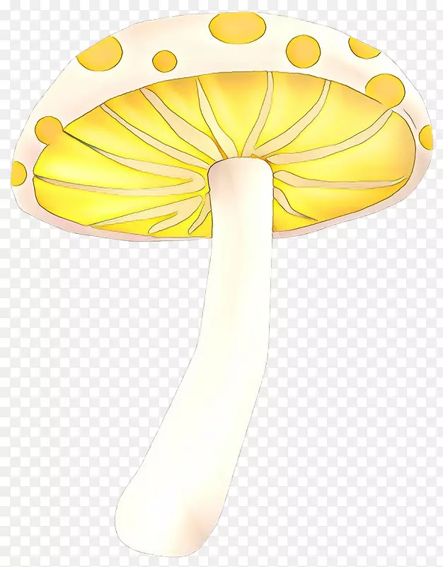 ��Ʒ��������鱦����-������