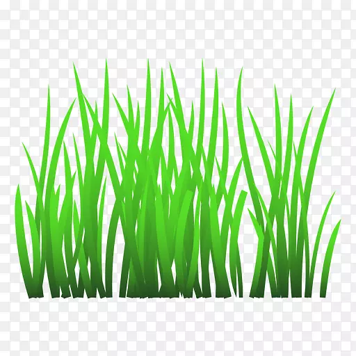 ������ͼ��pngͼƬ��ͼ-������