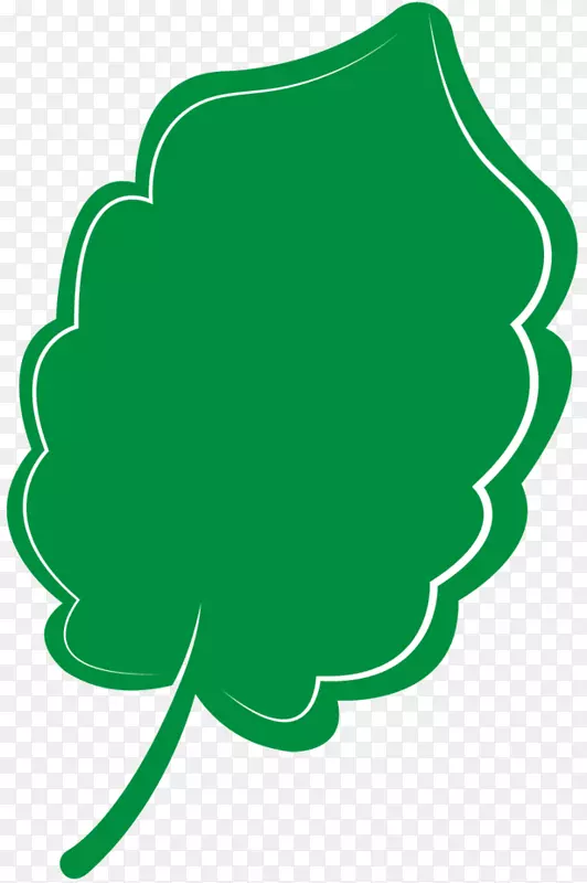 Ҷ����������ֲ�ﾥ-������