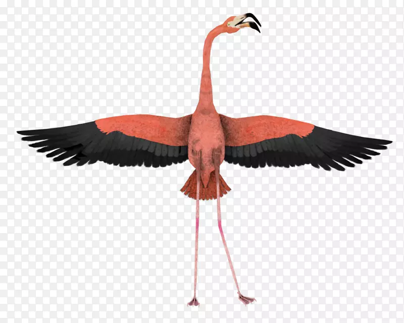 ˮ�����������-������-������