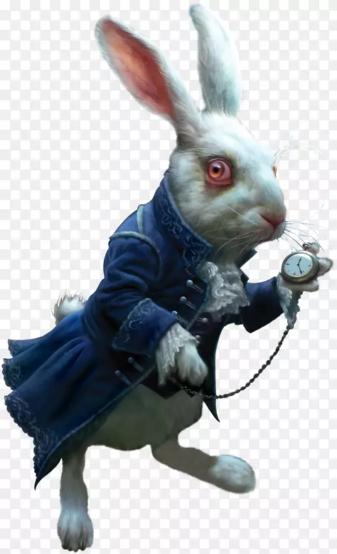 ���ð���˿���ɾ��е�ð�շ���ñ��ʦ��è����˿���ɾ��еİ���˿����-������