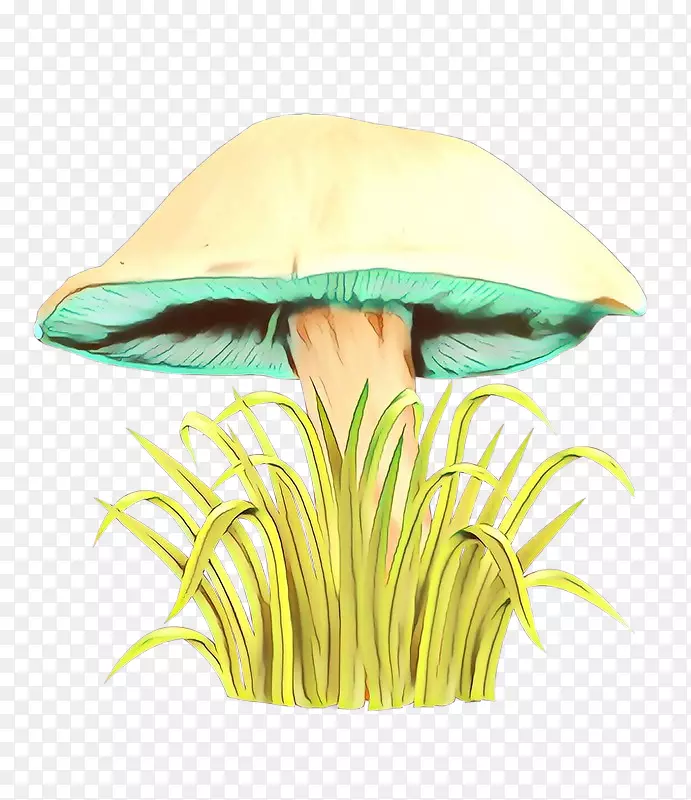 ��Ʒ��Ƴ�ɫS.A.-������