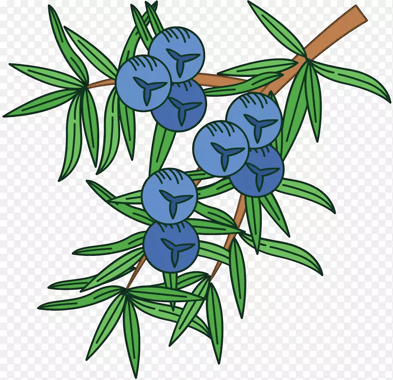 ͼ�μ�������ͼ-������