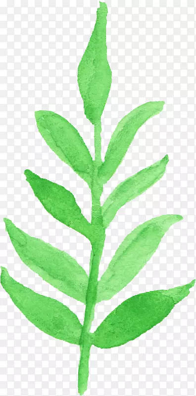 ˮ�ʻ�pngͼƬͼ���͸����ˮ�ʻ�����PNG�ĺۼ�-������