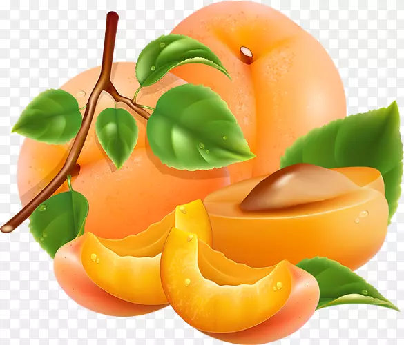 ����-������