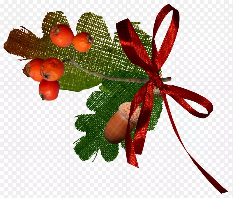 ��ӰҶ���������.õ�廨װ��-������