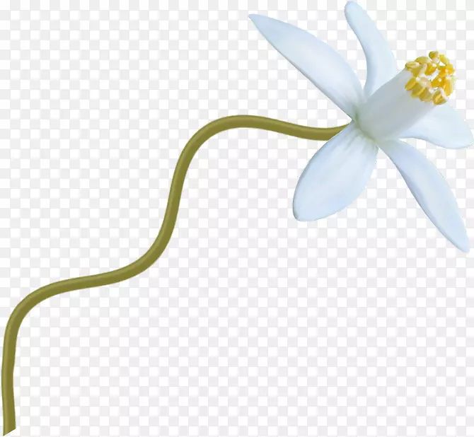 �л�ֲ�ﾥ����ֲ��.�׻�-������