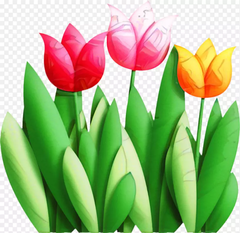 �����㻨�л���ֲ�ﾥ����-������