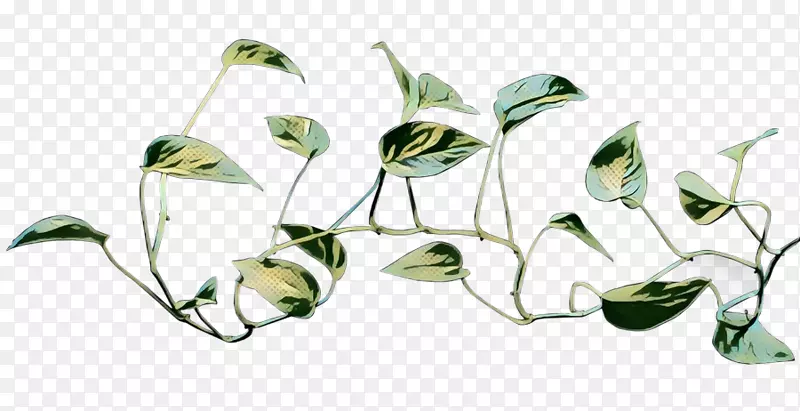 ħ��������ֲ�ﳣ���ٿ���ֲ��-������