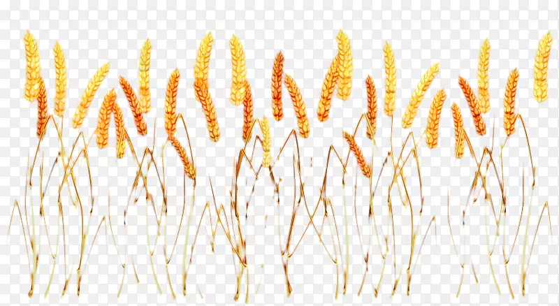 �ݱ�ֲ��-������