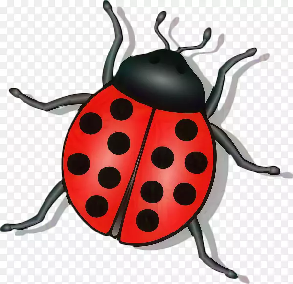 ���������Ų����������pngͼƬ����-������