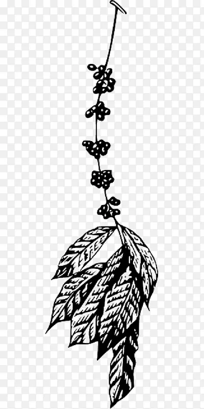 ���ȶ�������Ũ�����ȼ�����-ֲ��ѧ-������