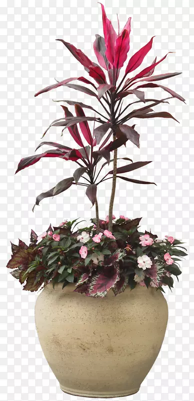 ����ֲ��-ֲ��-������