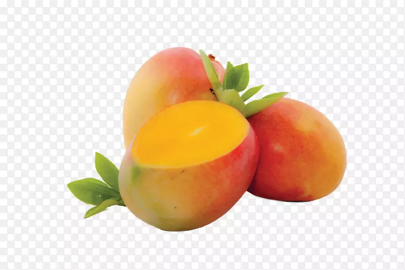 ����â����ʳƷ-â��-������