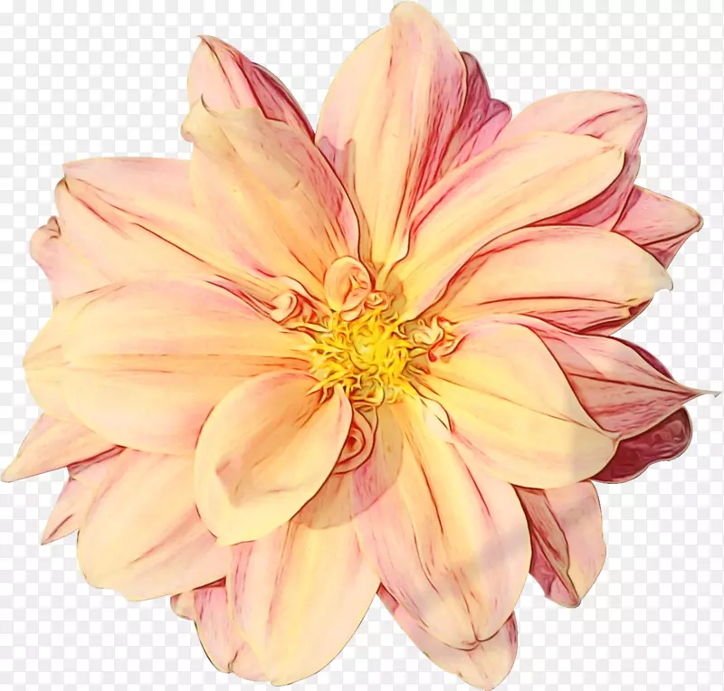 �������л�����-������