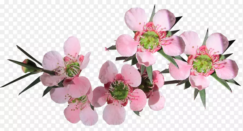 �Ĵ�����pngͼƬͼ���������Ƭ-�Ĵ�������PNG����-������