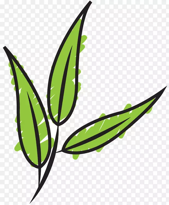 ��������Ҷֲ�ﾥϵ��-������