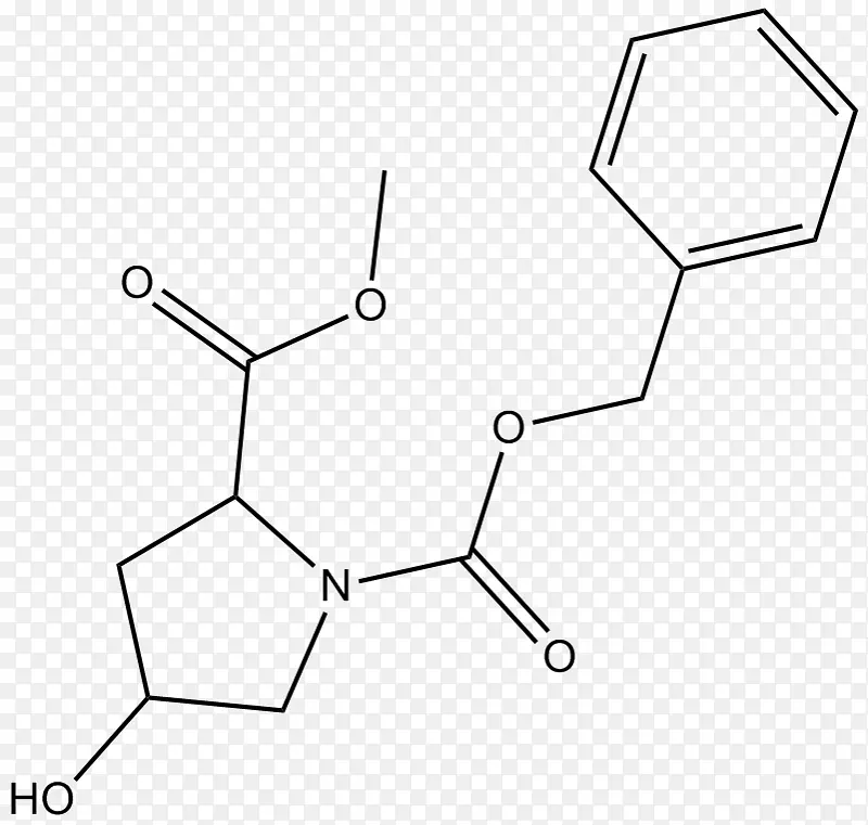 /m/02csf�������Ʒ�ڰ׵���������У������������-������
