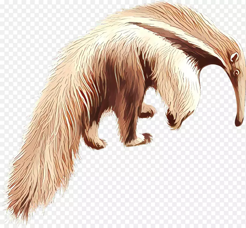 ʳ�⶯��ëƤ-������