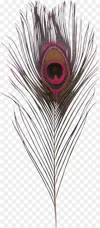 ��ë��ȸ������Ӱ������.��ë-������