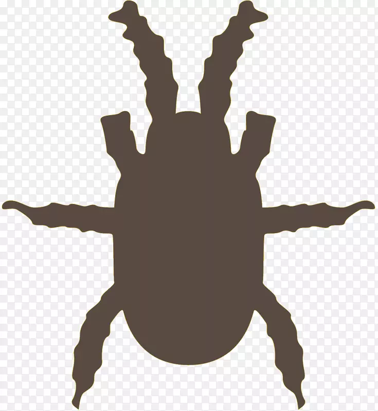 ��룬���棬�ó棬����-������