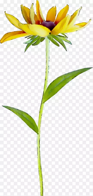 ���껨�л�ֲ�ﾥ�ݱ�ֲ��-������