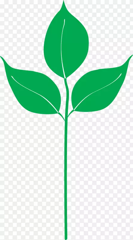 ������ֲ�ﾥҶ����ֲ����-ָ����Ӱ-������