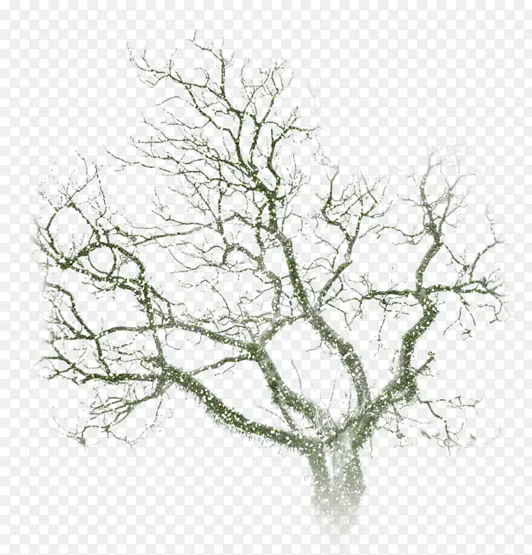 ����Ӱ���������ֽ����-������