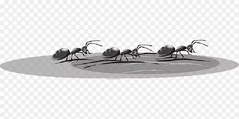 ��������pngͼƬ��������.��ͨ����-������