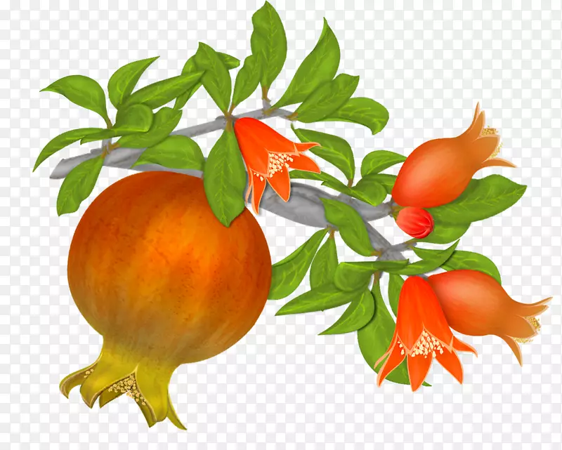 ʯ���ʯ��-������