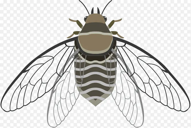 ���� �۷� ����-������